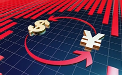 中金印度消费REIT：邱延冰，基金管理公司副总经理